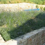 Vallis *